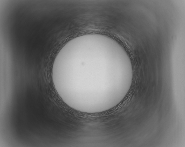 X0000102281157200807250935