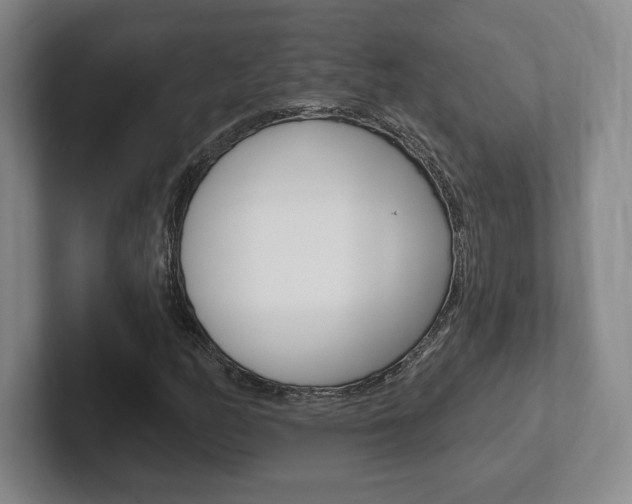X0000102281158200807250935