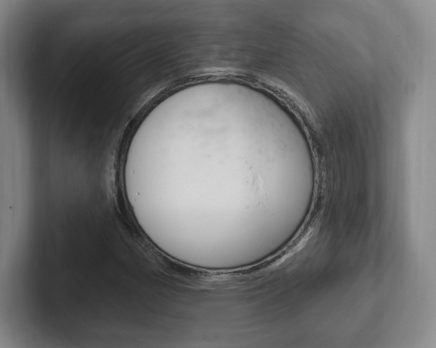 X0000102281162200807250935
