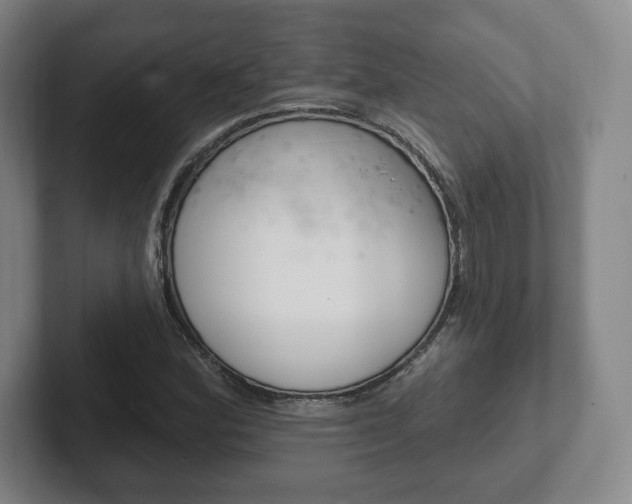 X0000102281164200807250935