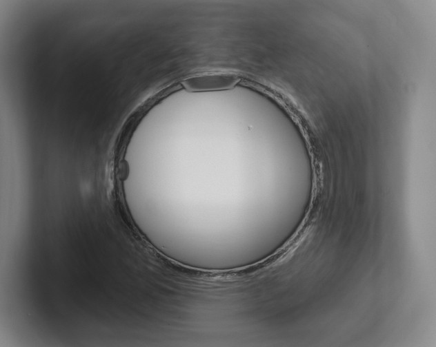 X0000102281165200807250935