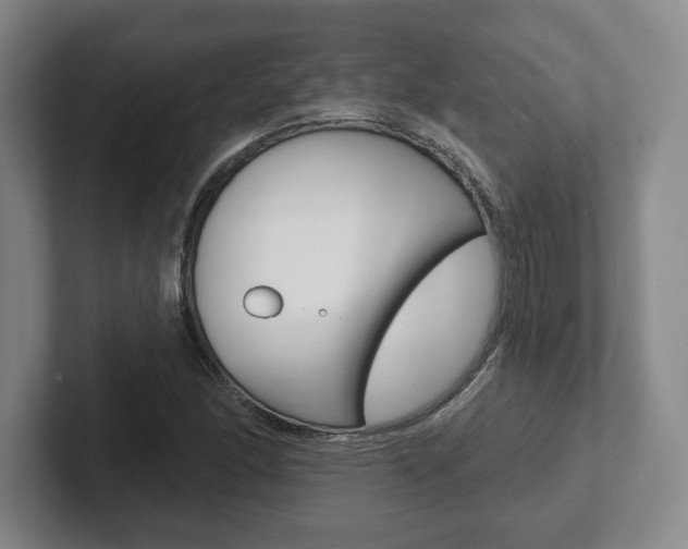 X0000102281166200807250935