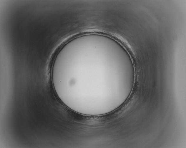 X0000102281167200807250935