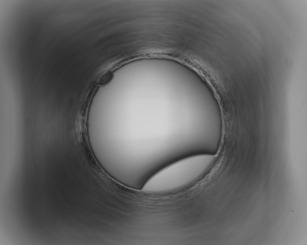 X0000102281169200807250935
