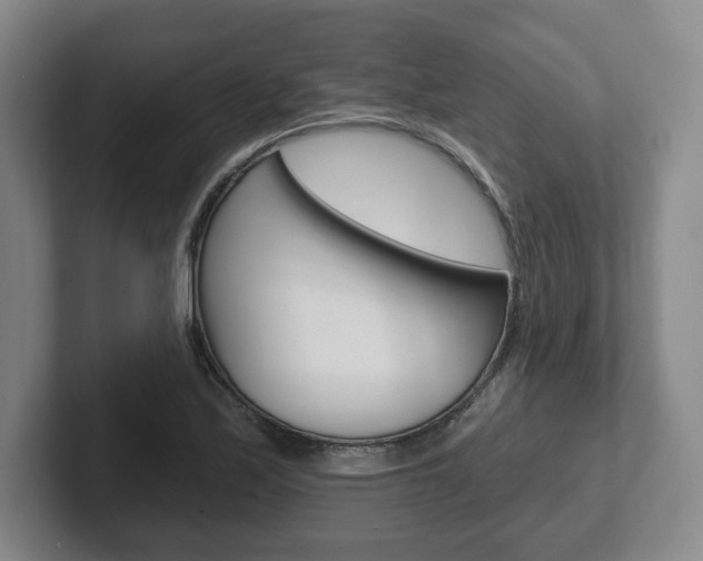 X0000102281171200807250935