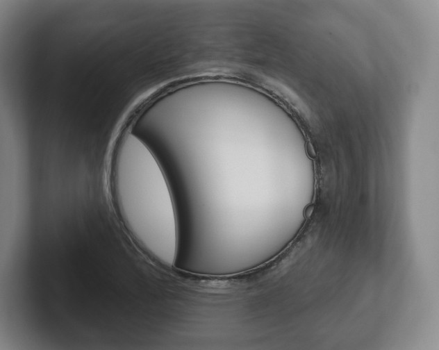 X0000102281172200807250935