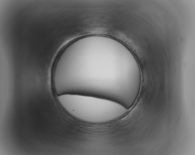 X0000102281174200807250935