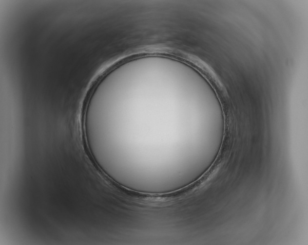 X0000102281176200807250935