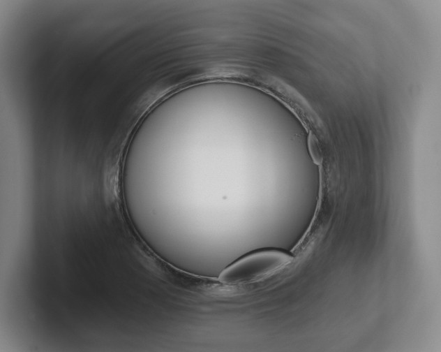 X0000102281177200807250935