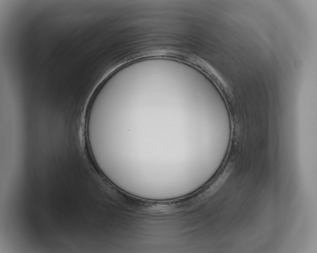 X0000102281178200807250935