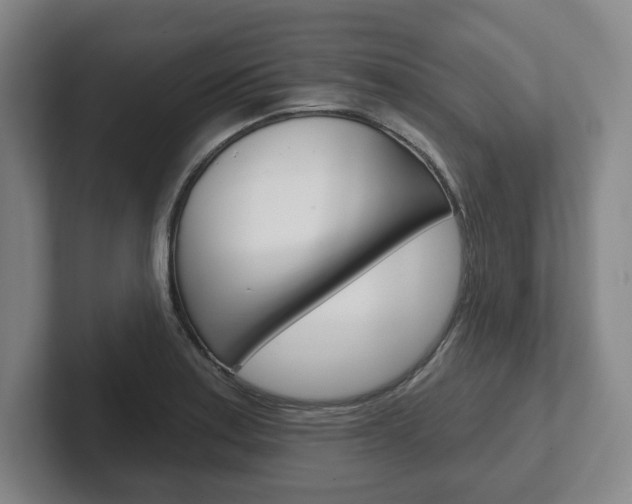 X0000102281179200807250935