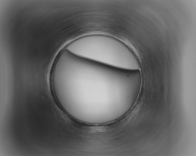X0000102281181200807250935