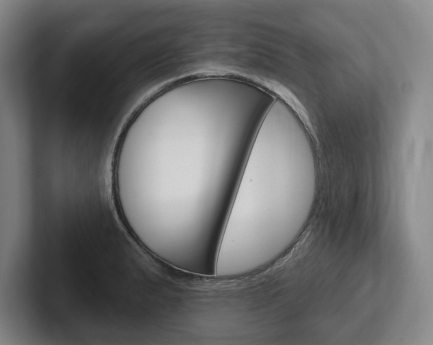 X0000102281183200807250935