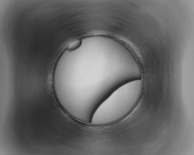 X0000102281185200807250935