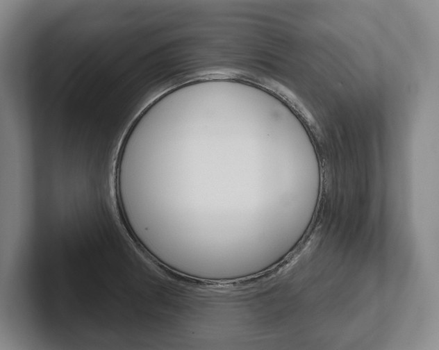 X0000102281186200807250935
