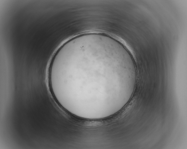 X0000102281187200807250935