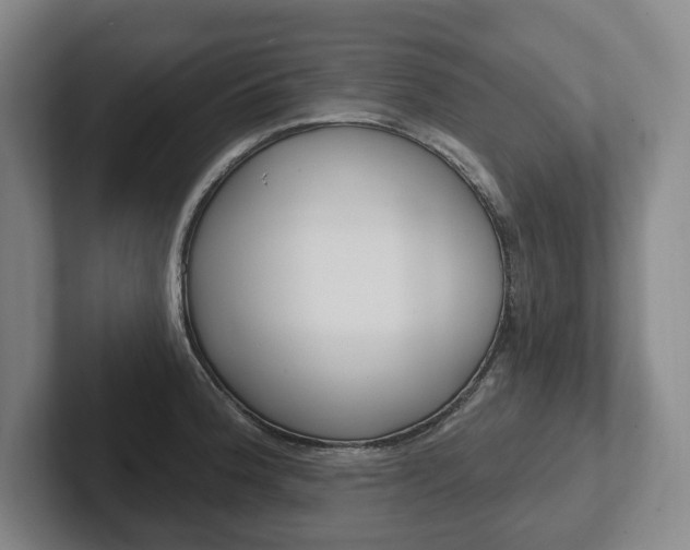 X0000102281188200807250935
