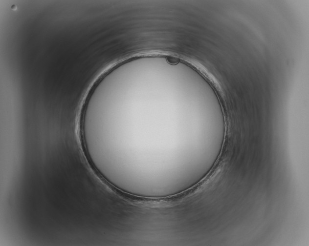 X0000102281189200807250935