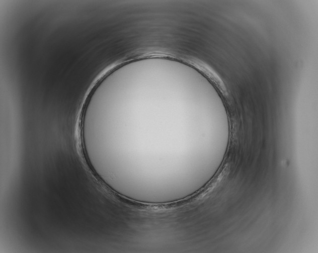 X0000102281190200807250935