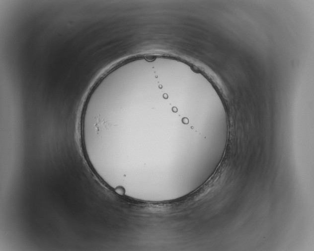 X0000102281191200807250935
