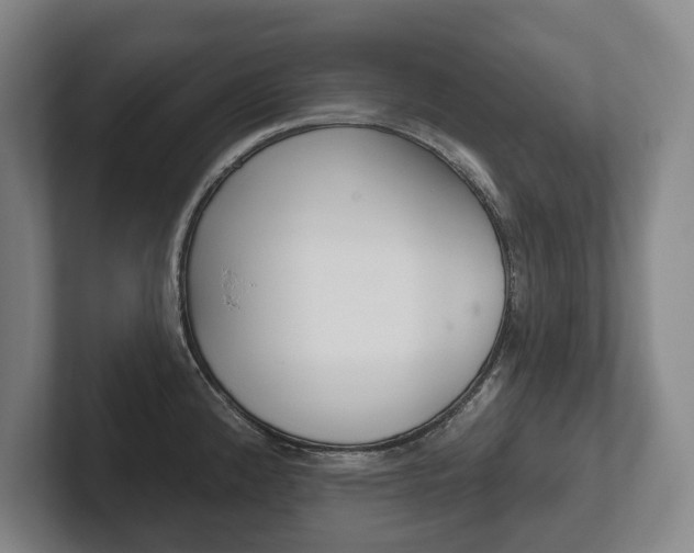 X0000102281192200807250935