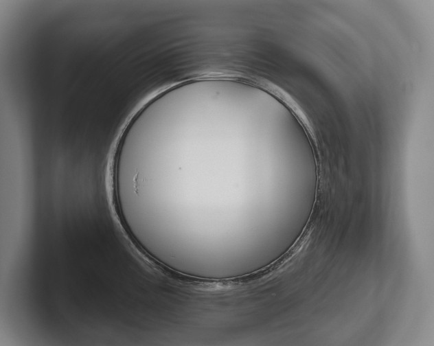X0000102281195200807250935