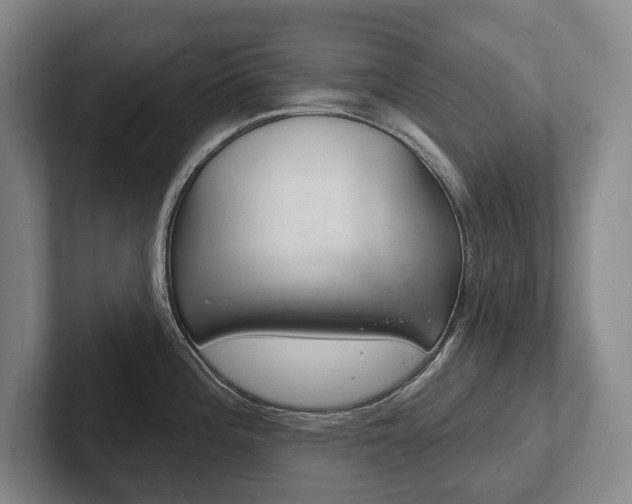 X0000102281196200807250935