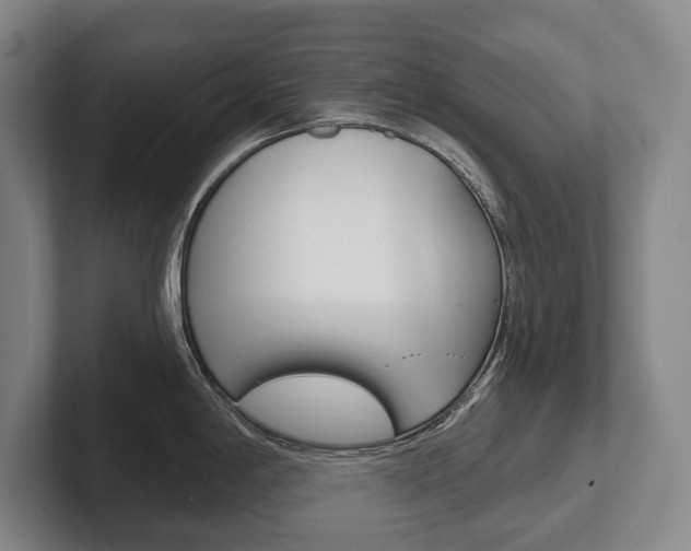 X0000102281198200807250935