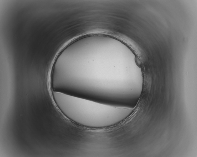 X0000102281199200807250935