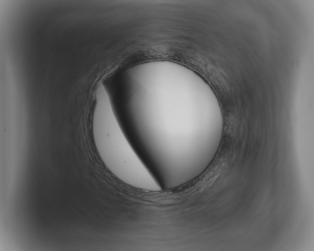 X0000102281201200807250934
