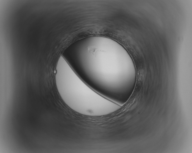 X0000102281202200807250934