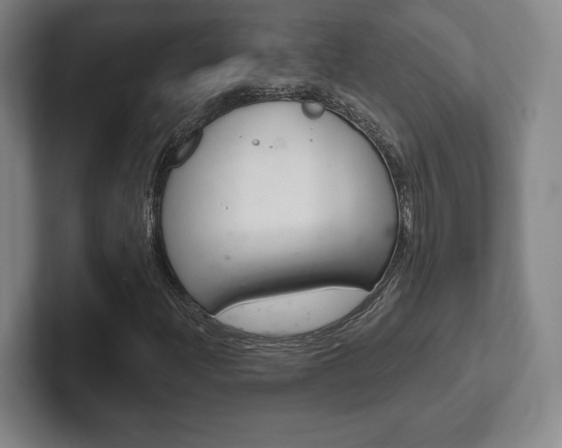 X0000102281204200807250934