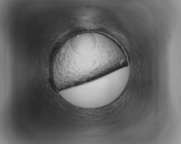 X0000102281205200807250934