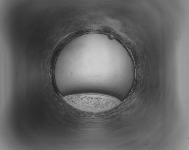 X0000102281206200807250934