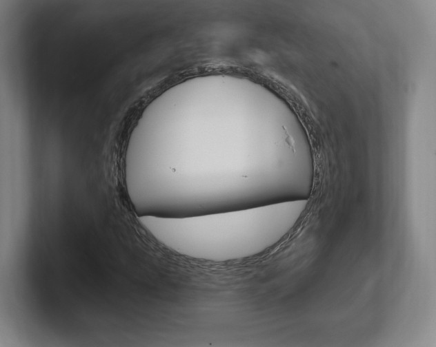X0000102281207200807250934