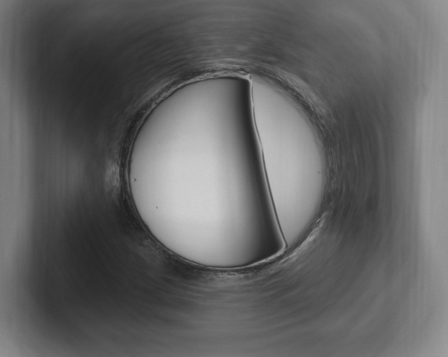 X0000102281209200807250934