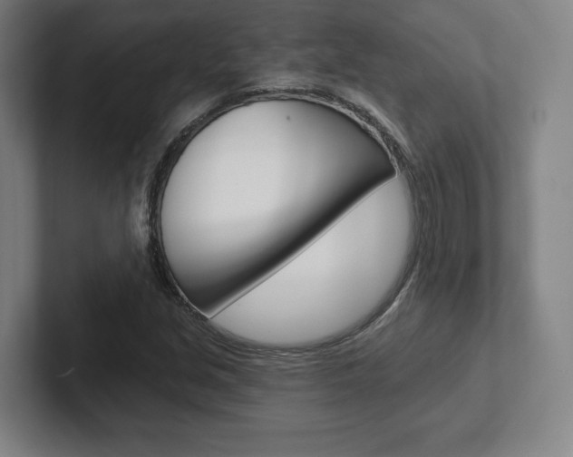 X0000102281213200807250934