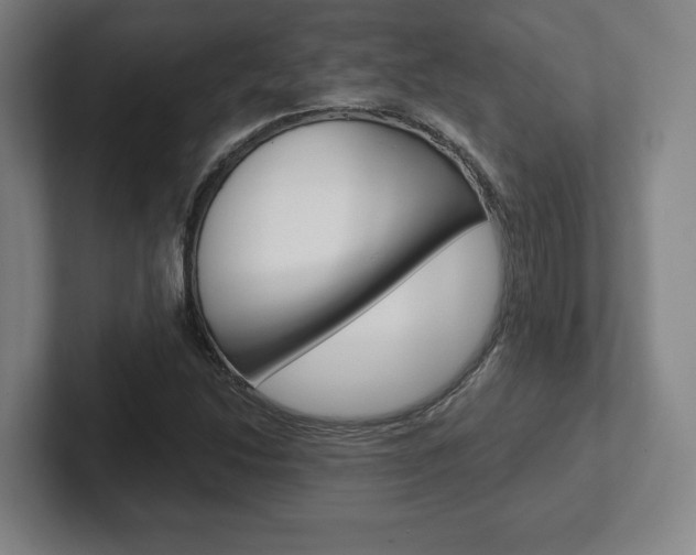 X0000102281214200807250934