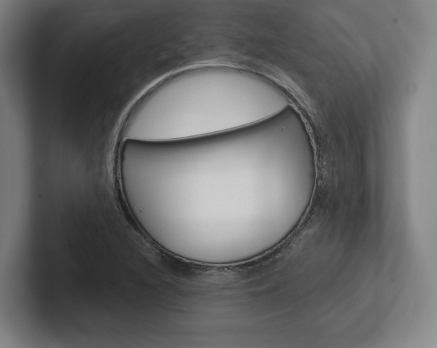 X0000102281216200807250934