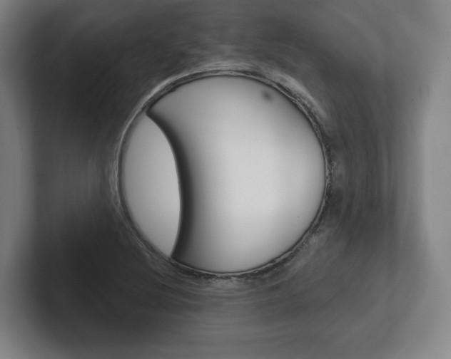 X0000102281220200807250934
