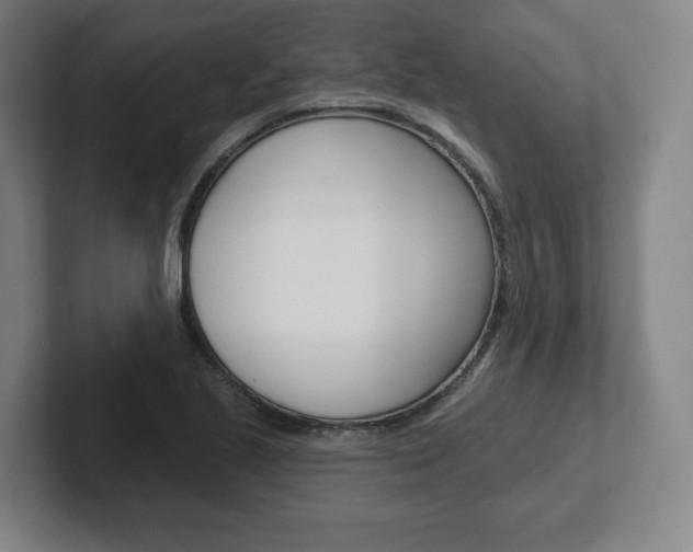 X0000102281221200807250934