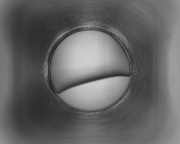 X0000102281224200807250934