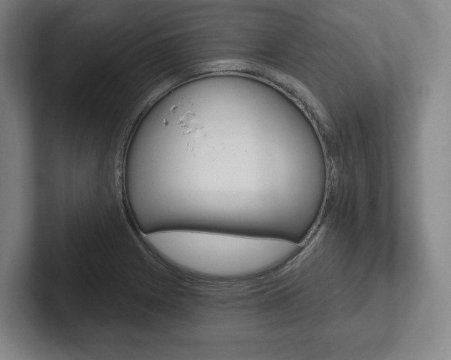 X0000102281225200807250934