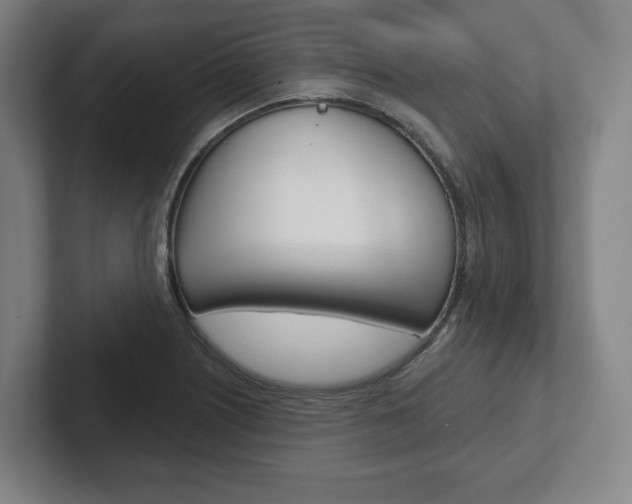 X0000102281226200807250934