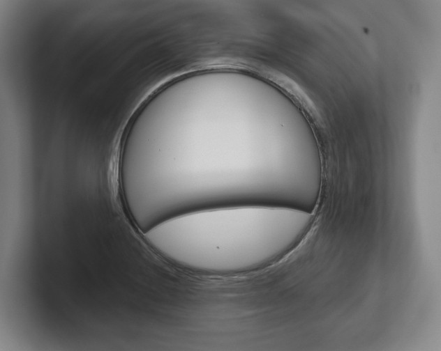 X0000102281228200807250934