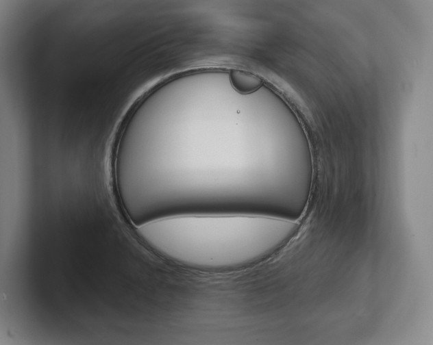 X0000102281230200807250934