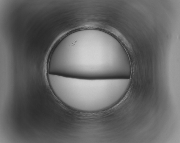 X0000102281232200807250934