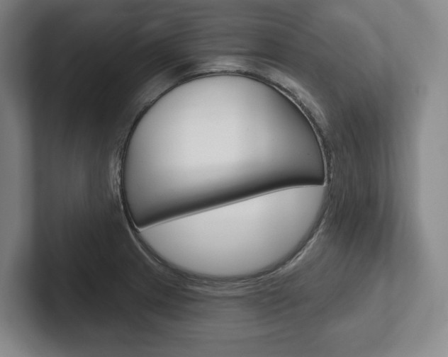 X0000102281233200807250934