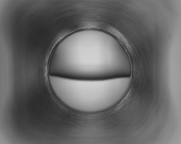 X0000102281234200807250934