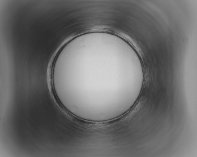 X0000102281235200807250934
